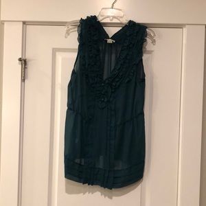 Sheer short sleeve top.